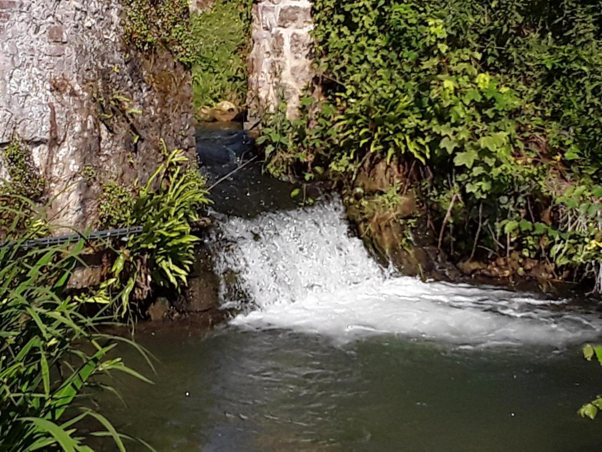 Au Moulin De Valerie Bed & Breakfast Frencq Bagian luar foto